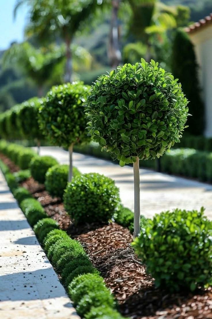 HEKKIDE PÜGAMINE ÜLE EESTI! | +372 58663693