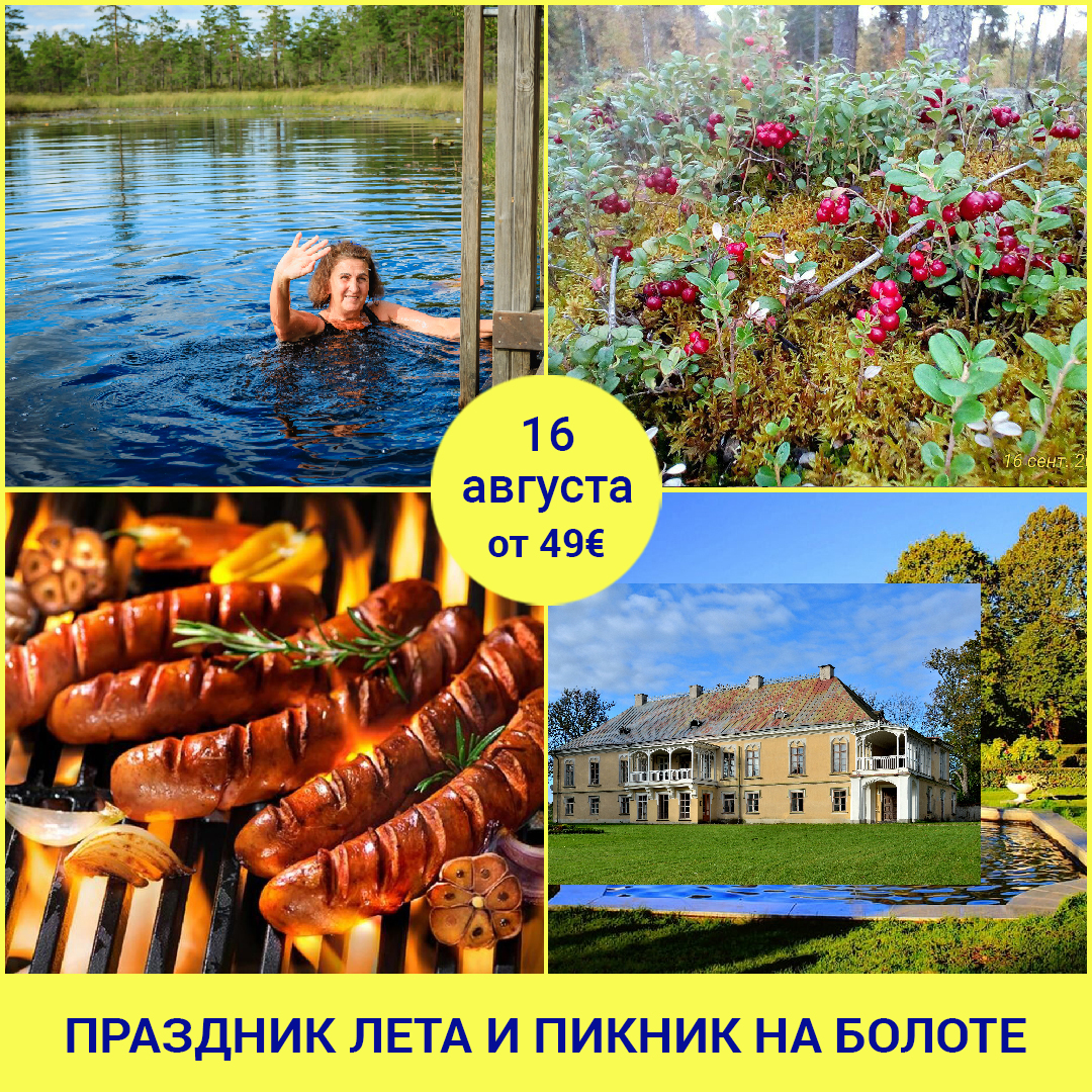 Праздник лета и пикник на болоте