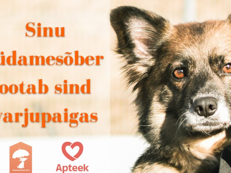 Varjupaikade MTÜ