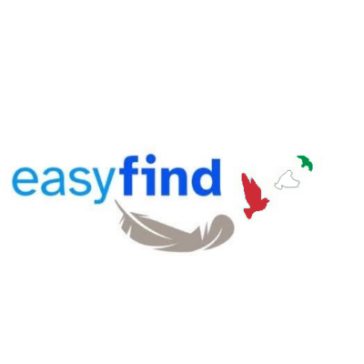 Easyfind OÜ